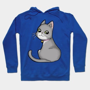 Stray Kitties Pete03 Hoodie